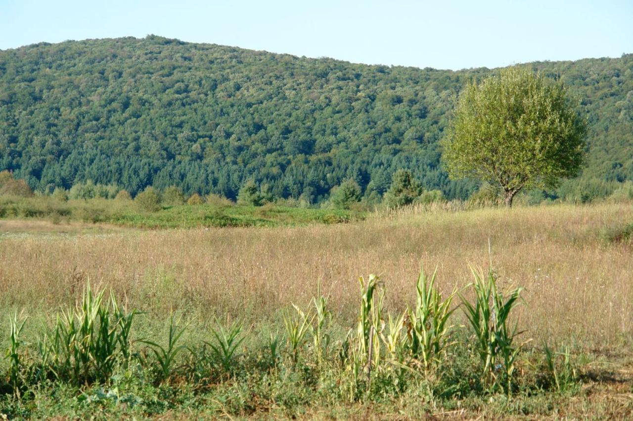 Peace Valley - Dolina Mira Janja Gora Εξωτερικό φωτογραφία
