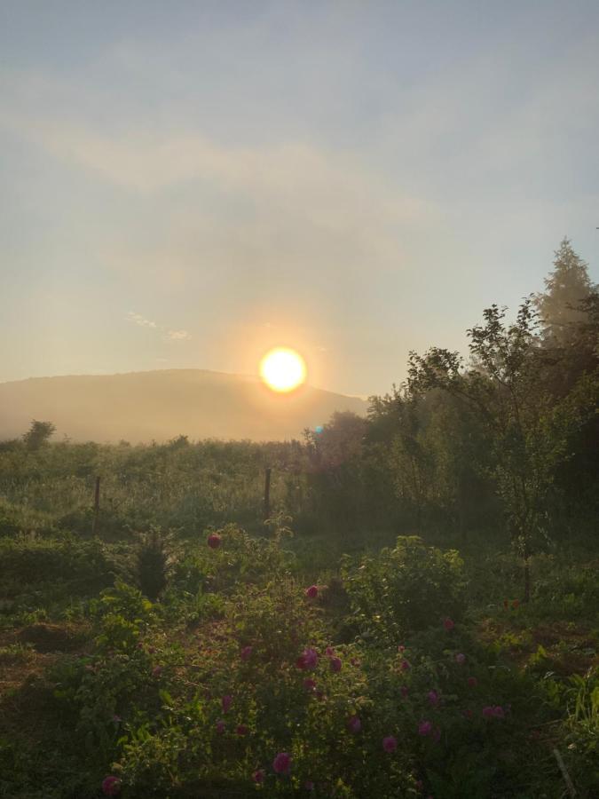 Peace Valley - Dolina Mira Janja Gora Εξωτερικό φωτογραφία