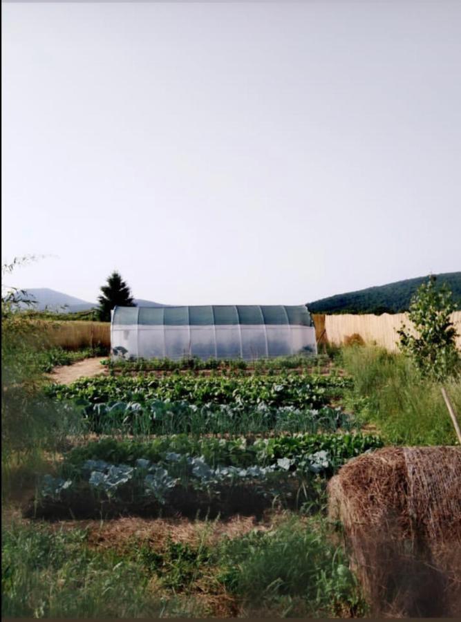 Peace Valley - Dolina Mira Janja Gora Εξωτερικό φωτογραφία